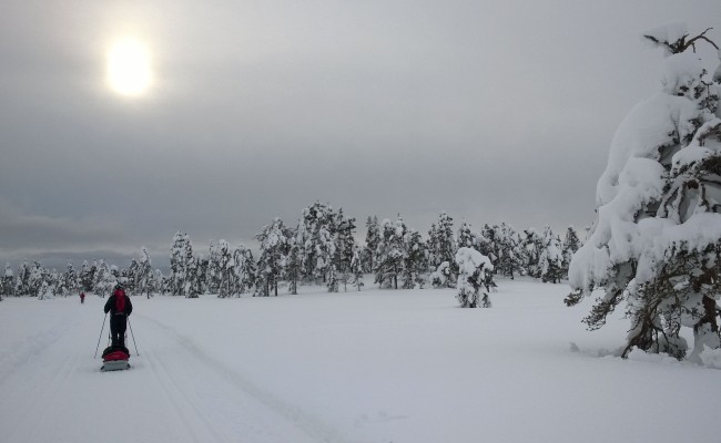 Norefjell – pulk Snekkermyra